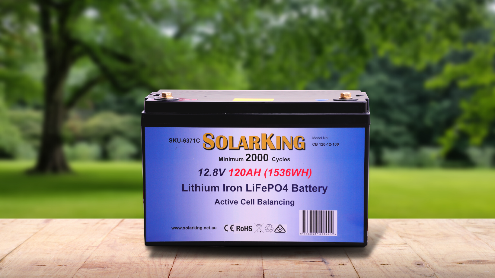SolarKing Lithium LiFePo4 Battery Review